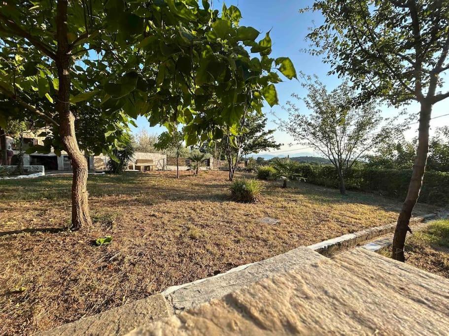 Yourlittlemiracle-Panoramicview+Firepit+Garden+Bbq อาร์กาลาสตี ภายนอก รูปภาพ