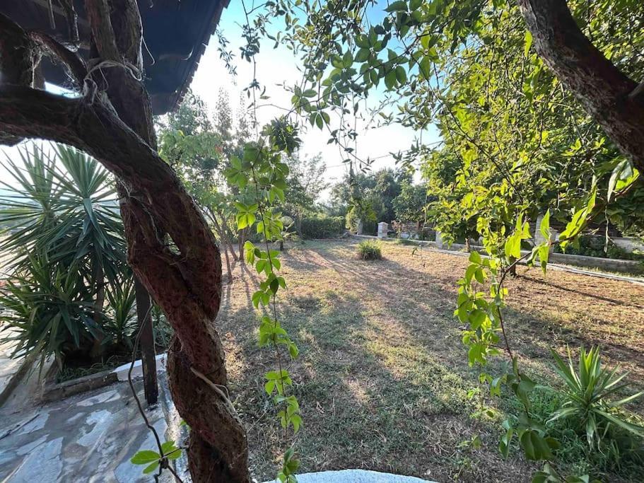 Yourlittlemiracle-Panoramicview+Firepit+Garden+Bbq อาร์กาลาสตี ภายนอก รูปภาพ